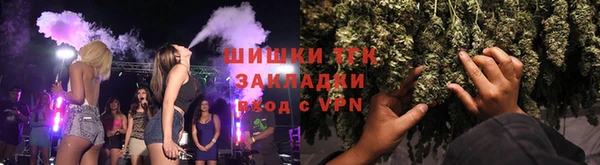 дживик Богородицк