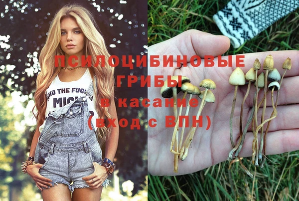дживик Богородицк