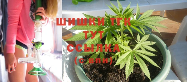 дживик Богородицк