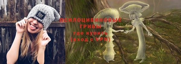 дживик Богородицк