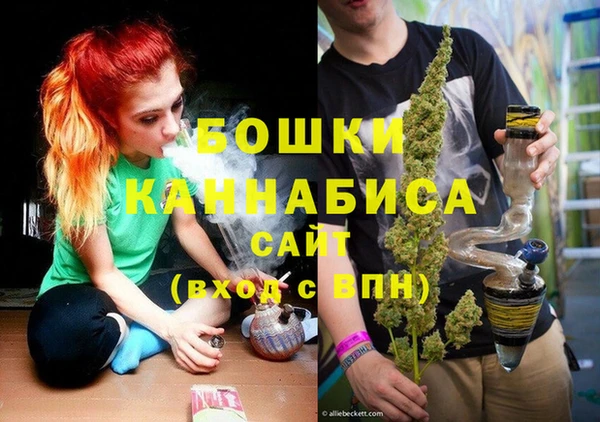 дживик Богородицк