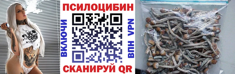MEGA tor  Воркута  Галлюциногенные грибы Cubensis 