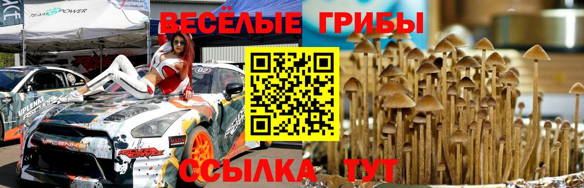 Воркута  сколько стоит  Вход с VPN  Галлюциногенные грибы GOLDEN TEACHER  Галлюциногенные грибы GOLDEN TEACHER 